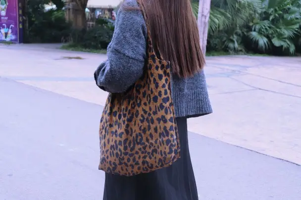 Universal one-shoulder bag, brand cloth bag — chobi 17