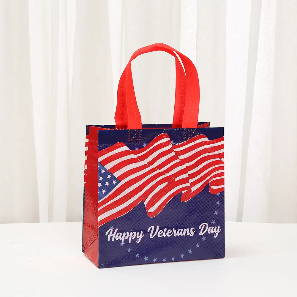 Three dimensional waterproof bag, pack, linen bag non-woven cloth, shopping bag, USA, Birthday gift — chobi 3