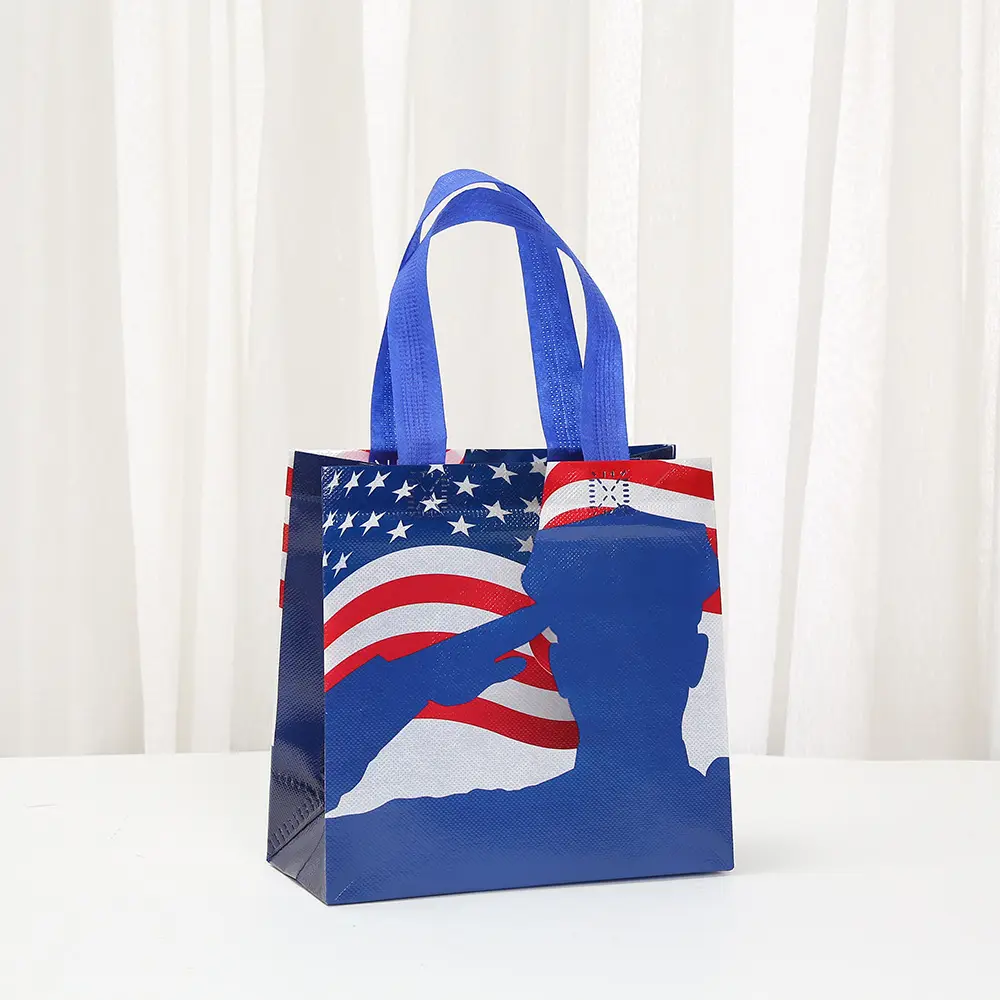 Three dimensional waterproof bag, pack, linen bag non-woven cloth, shopping bag, USA, Birthday gift — chobi 4