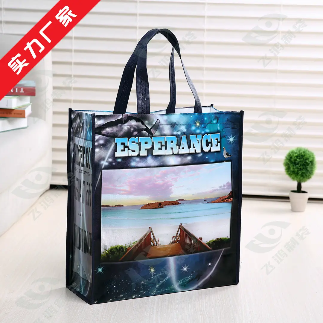 Cloth bag non-woven cloth, linen bag, folding shopping bag — chobi 4