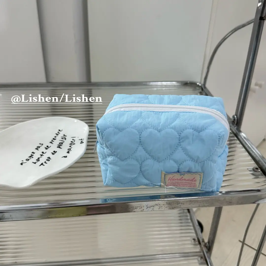 Capacious cosmetic bag, handheld organizer bag, small clutch bag, South Korea — chobi 15