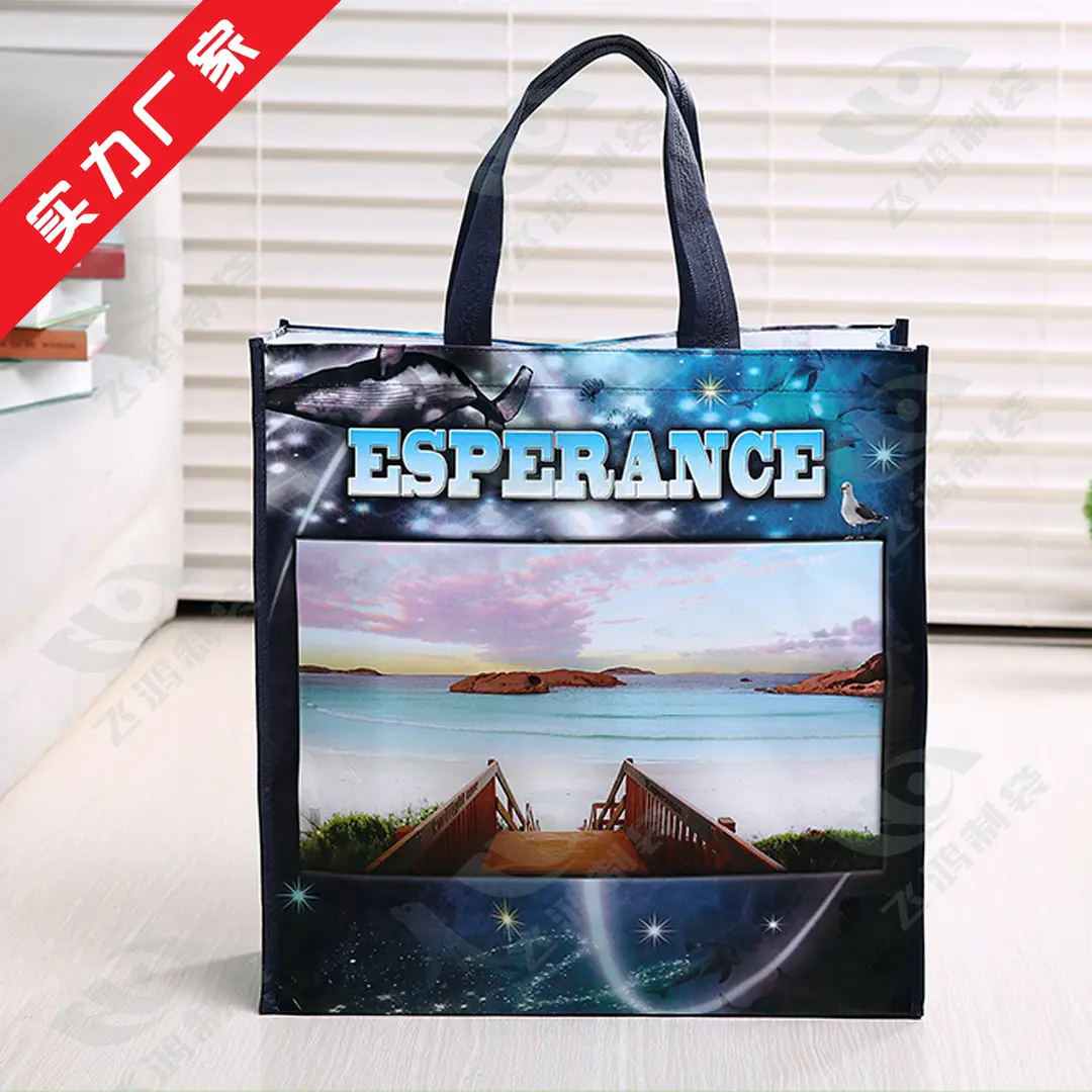 Cloth bag non-woven cloth, linen bag, folding shopping bag — chobi 6