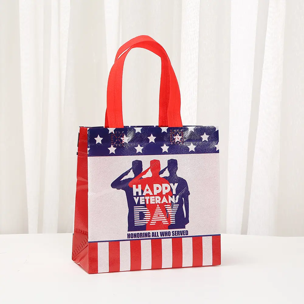 Three dimensional waterproof bag, pack, linen bag non-woven cloth, shopping bag, USA, Birthday gift — chobi 2